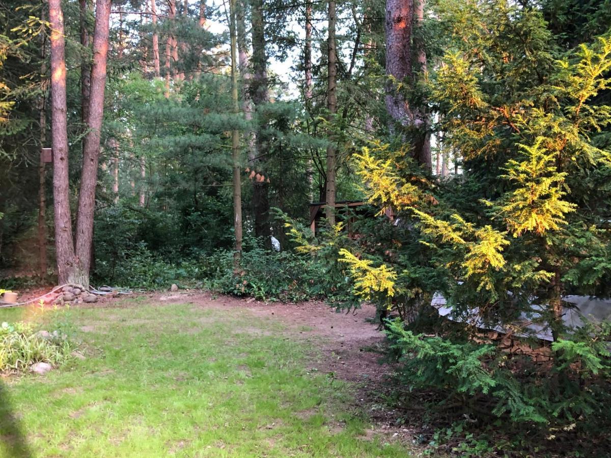 Ferienhaus Reetdach 1300qm Privatgrundstück Bootssteg Templin Lübbesee Uckermark Erholung pur Seenplatte Petersdorf  Exterior foto